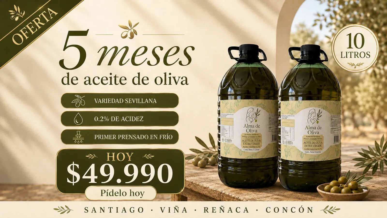 Pack Aceite de Oliva 10 litros (2x5L) — $49.990, 5 meses de aceite en casa